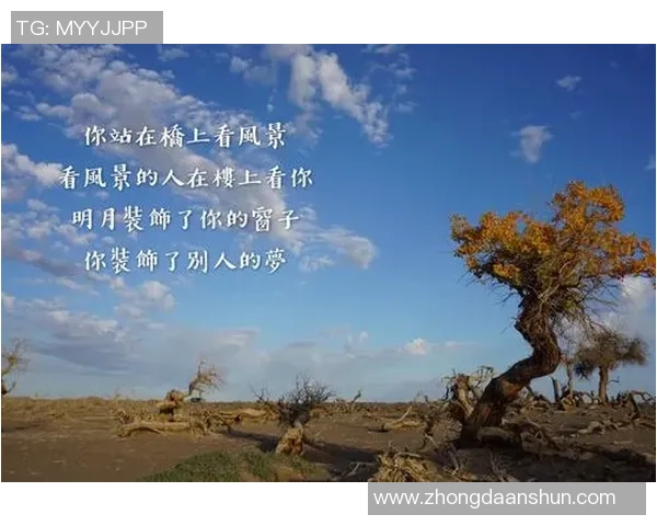 深度对话李伟：从排球少年到职业生涯的心路历程与成长故事